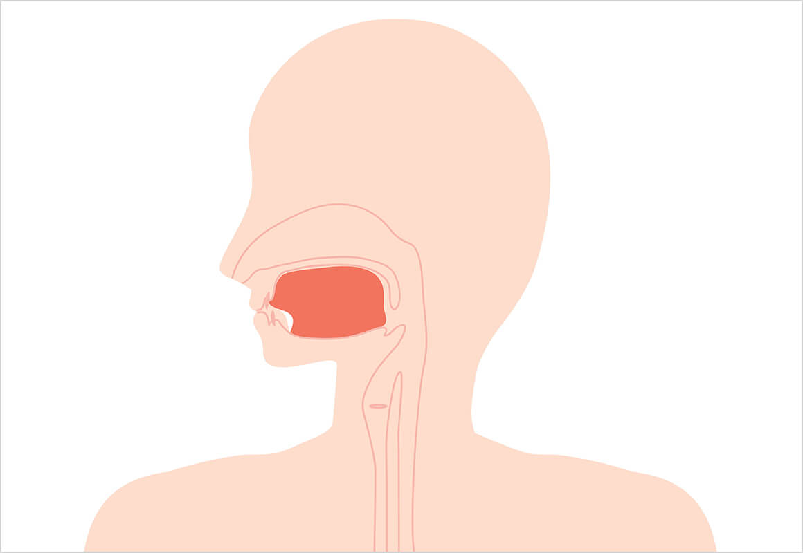 鼻呼吸が歯並びの改善につながります